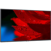 NEC Display 43" Wide Color Gamut Ultra High Definition Professional Display (MA431) Main image