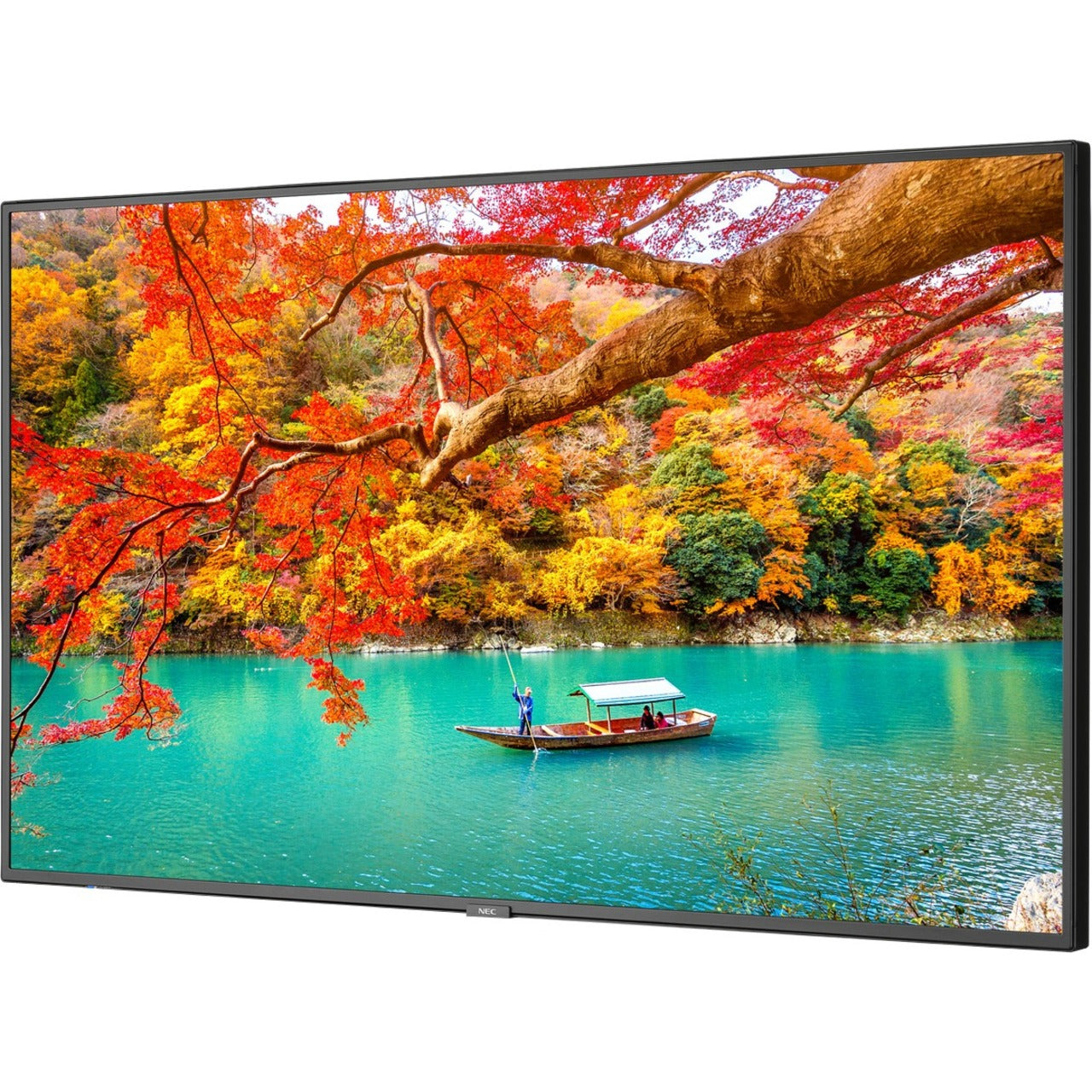 NEC Display 43" Wide Color Gamut Ultra High Definition Professional Display (MA431) Alternate-Image11 image
