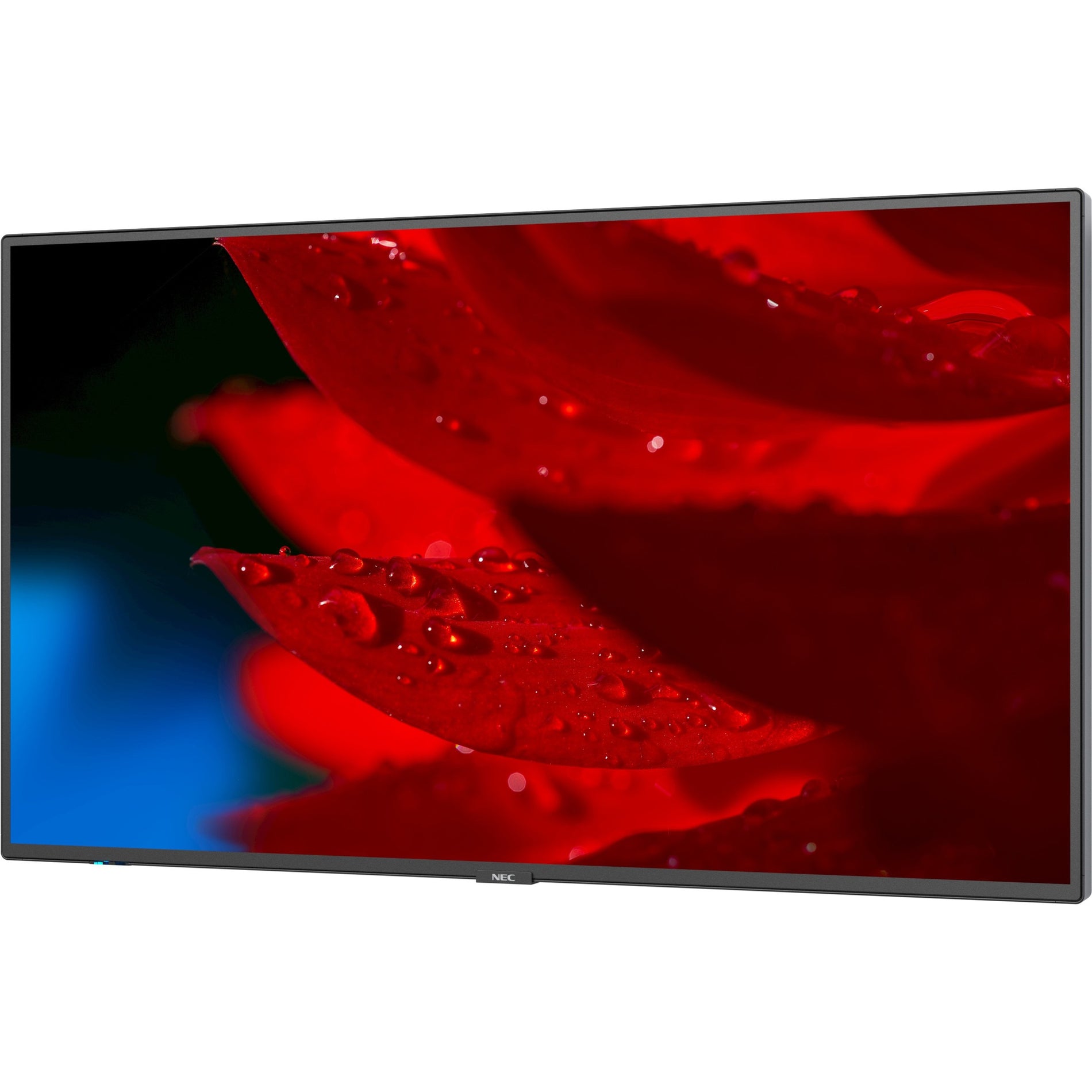 NEC Display 43" Wide Color Gamut Ultra High Definition Professional Display (MA431) Alternate-Image2 image