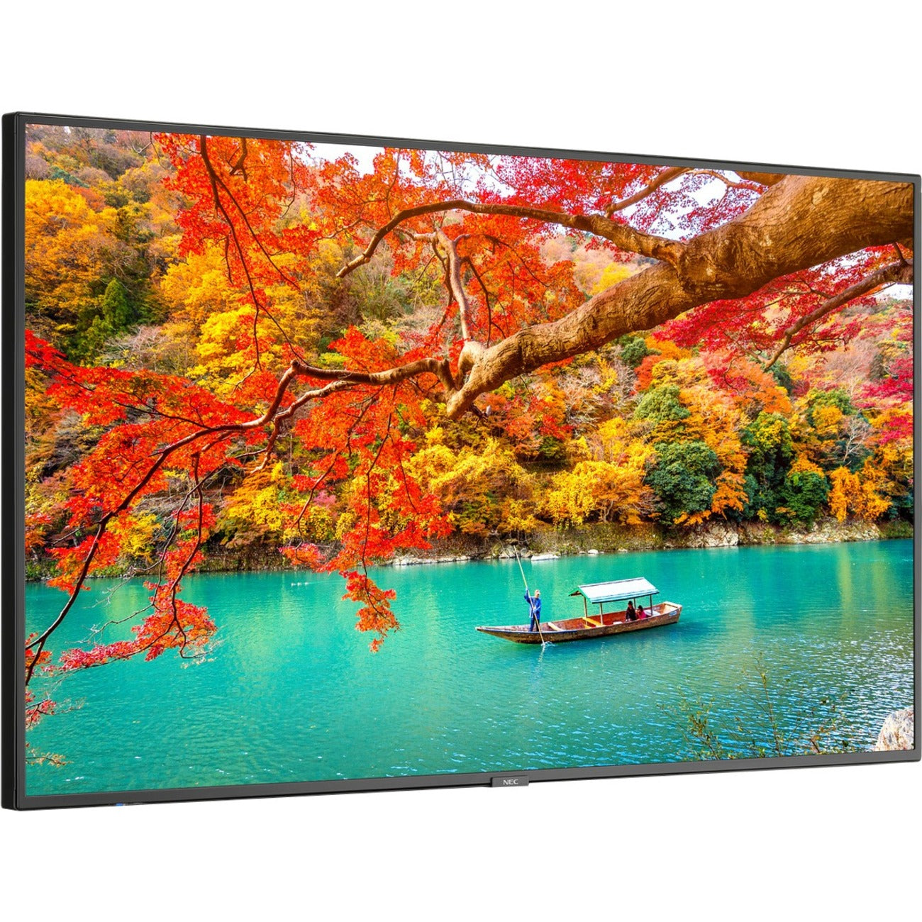 NEC Display 43" Wide Color Gamut Ultra High Definition Professional Display (MA431) Alternate-Image12 image