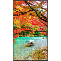 NEC Display 43" Wide Color Gamut Ultra High Definition Professional Display (MA431) Alternate-Image10 image