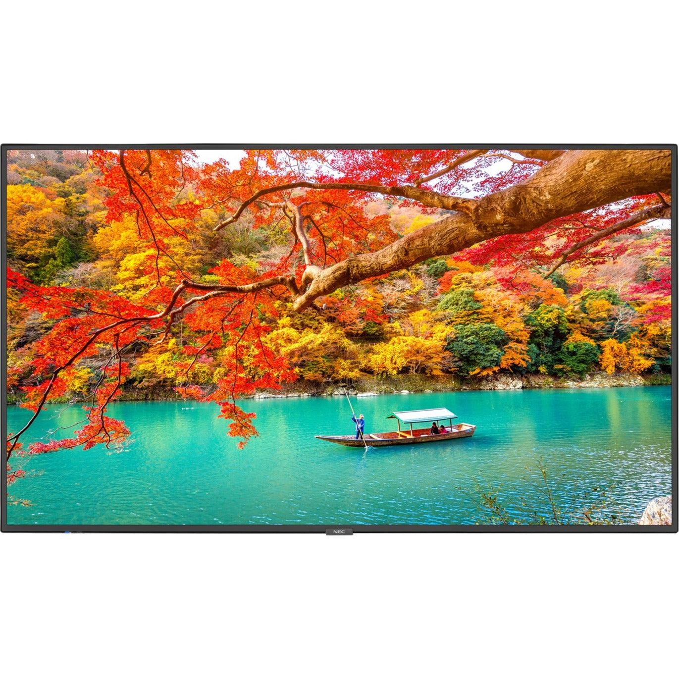 NEC Display 43" Wide Color Gamut Ultra High Definition Professional Display (MA431) Alternate-Image13 image