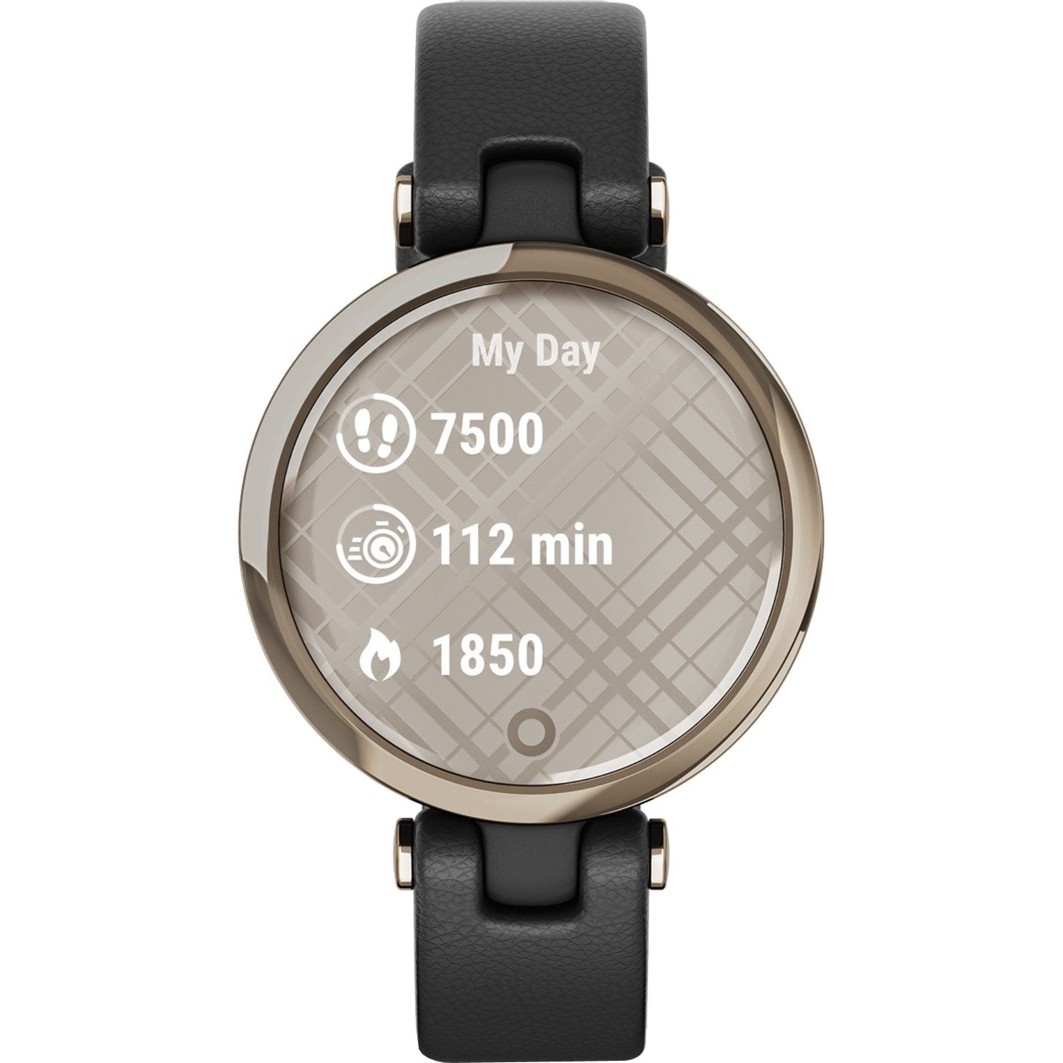 Garmin Lily Smart Watch - Water Resistant, Touchscreen, Women's Fitness Tracker [Discontinued]