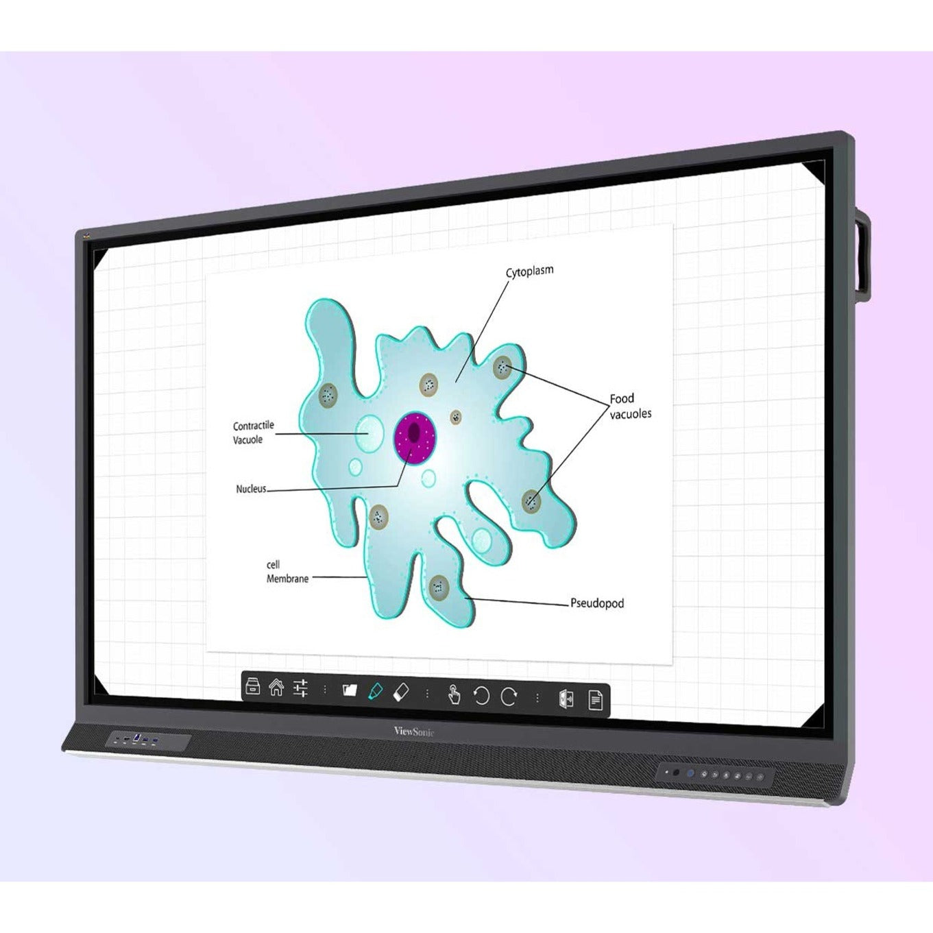 ViewSonic IFP6552-E1 ViewBoard Collaboration Display, 65" 4K UHD LCD Screen, Wireless LAN