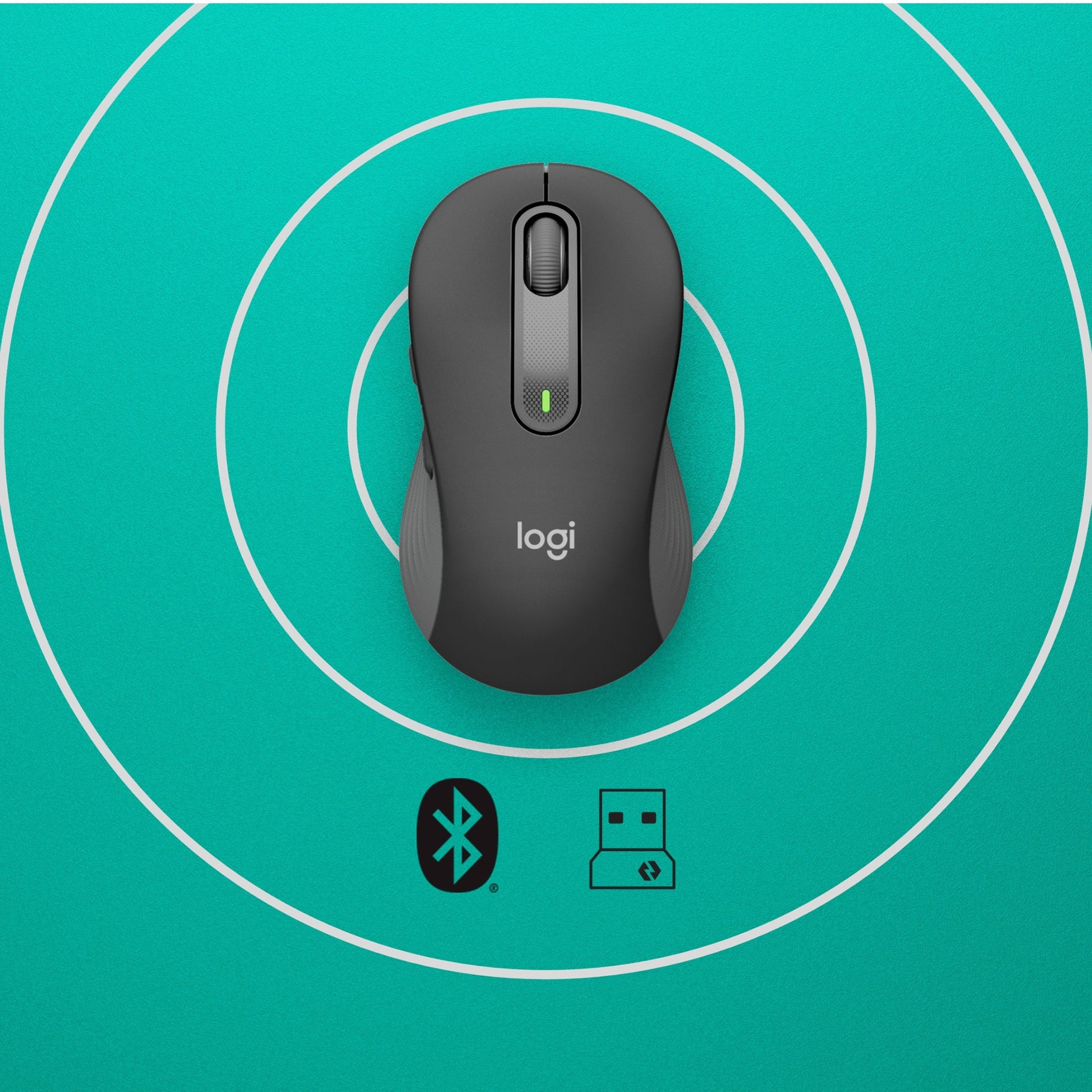 Logitech 910-006231 Signature M650 L Full Size Wireless Mouse, For Large Sized Hands, 2-Year Battery, Silent Clicks, Customizable Side Buttons, Bluetooth, Multi-Device Compatibility (Graphite)
