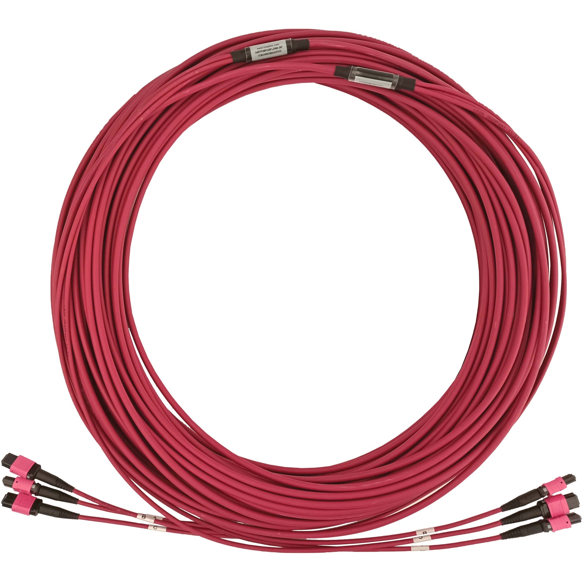 Tripp Lite N858B-38M-3X8MG Fiber Optic Trunk Network Cable, 124.67 ft, Multi-mode, 400 Gbit/s