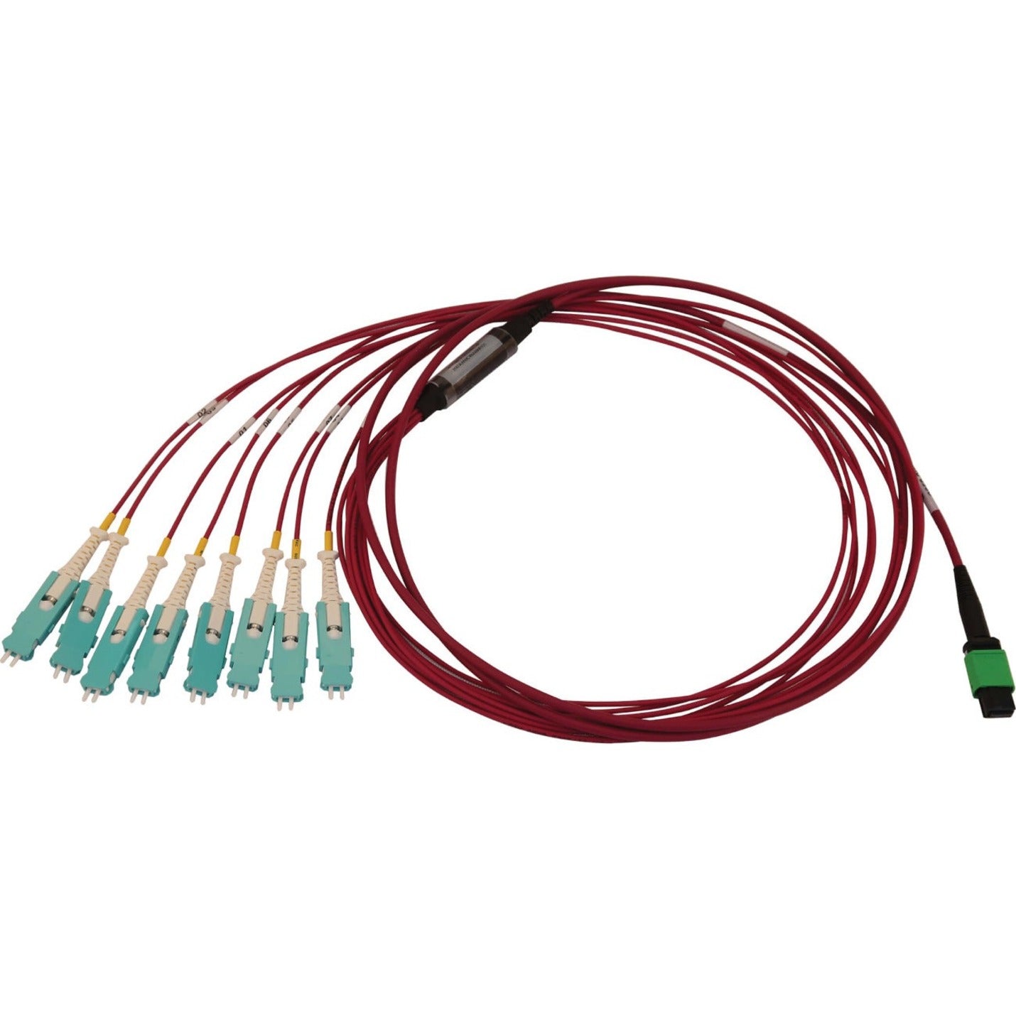Tripp Lite N845-02M-8S-MG Fiber Optic Network Cable, 6.56 ft, Multi-mode, 400 Gbit/s