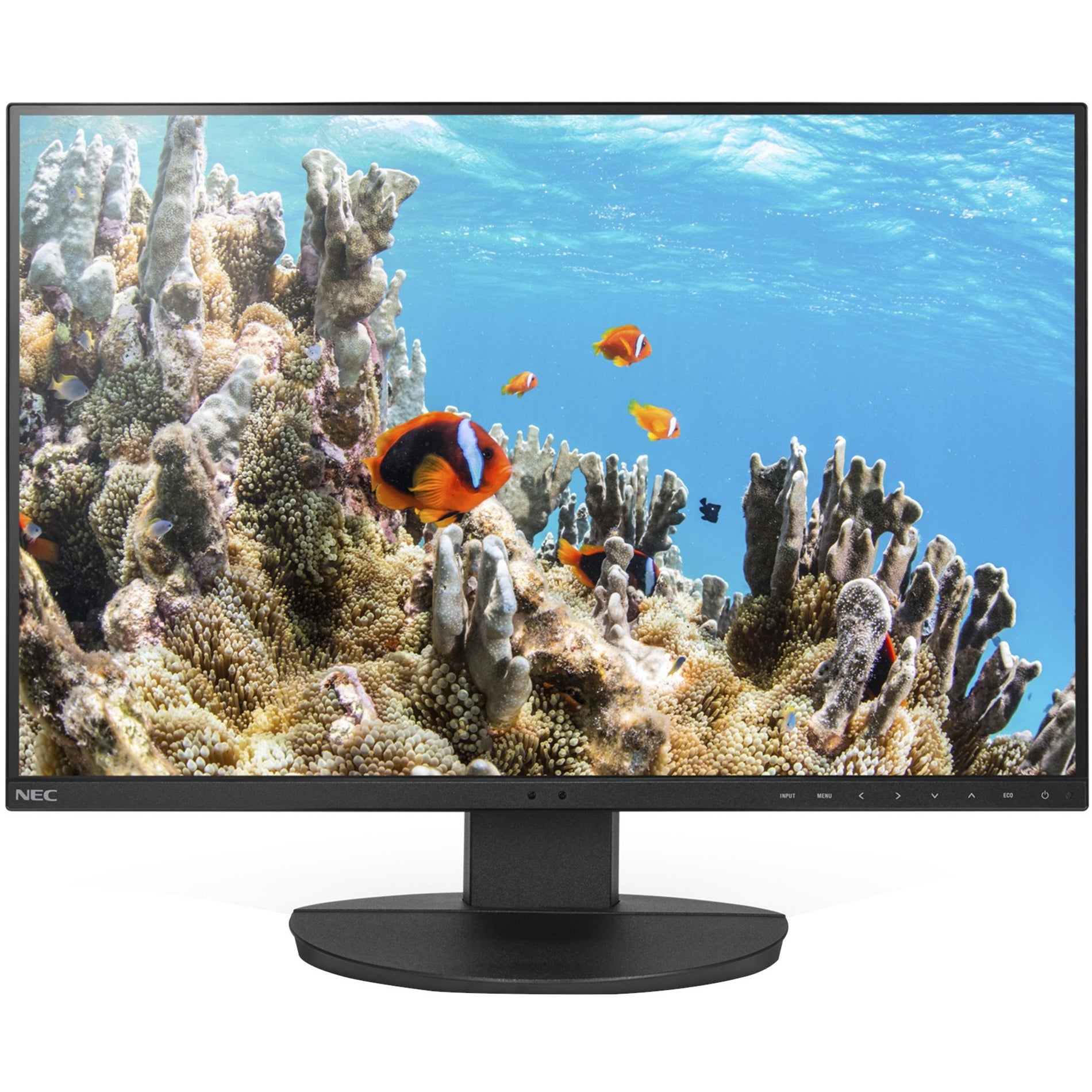 NEC Display MultiSync EA242WU-BK Widescreen LCD Monitor, 24.1", 1920 x 1200, USB Hub, HDMI, USB Type-C, DisplayPort, RJ-45, 3 Year Warranty