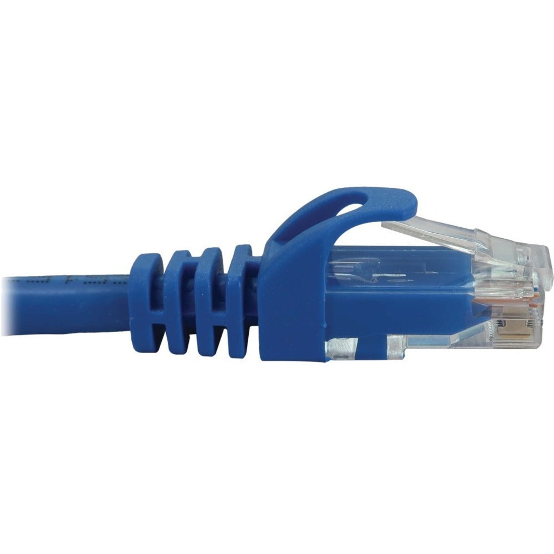Tripp Lite N261-100-BL Cat.6a UTP Network Cable, 100ft Blue, 10G PoE, Snagless Molded