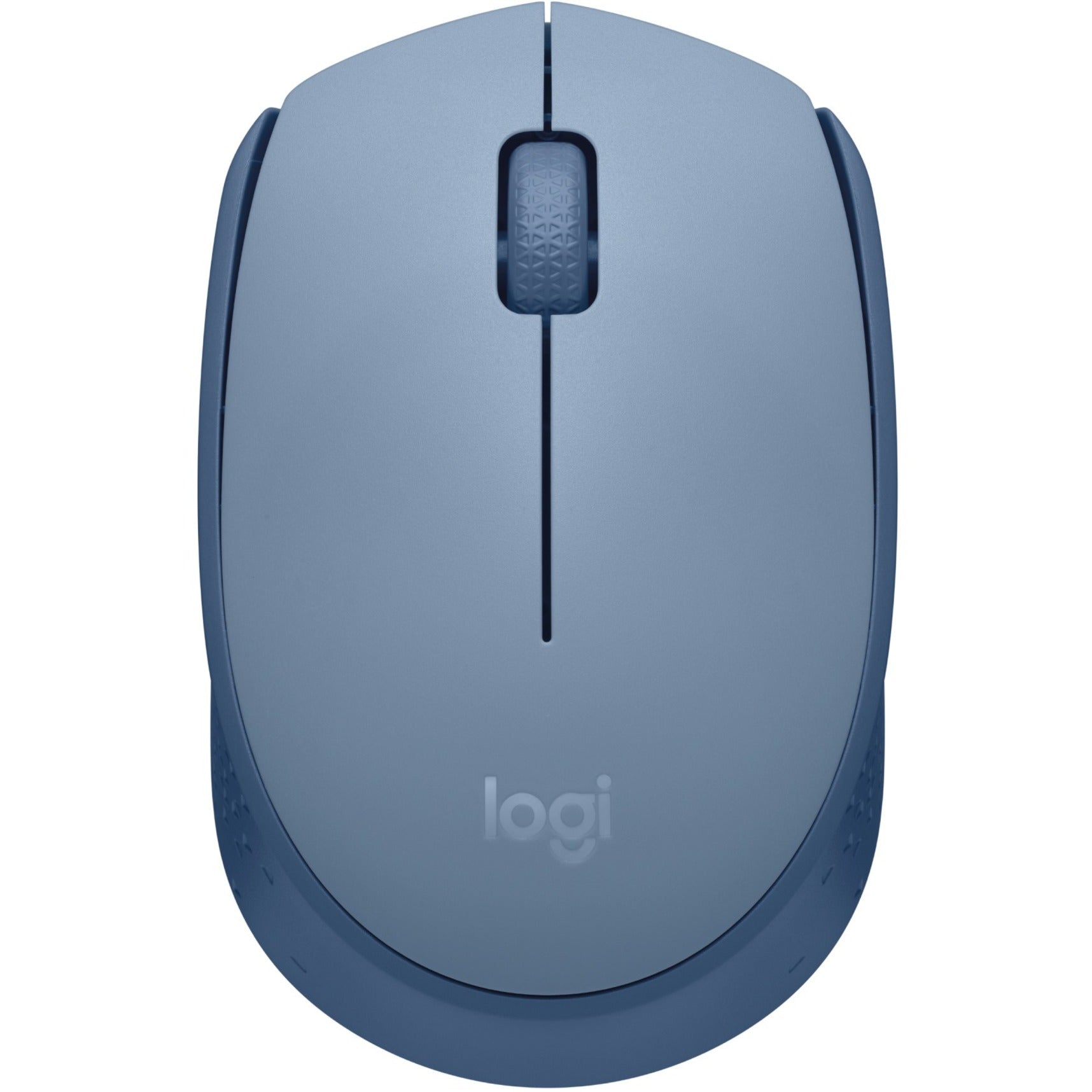 Logitech 910-006863 M170 Mouse, Wireless 2.4 GHz Optical Radio Frequency, USB Receiver, Blue Gray