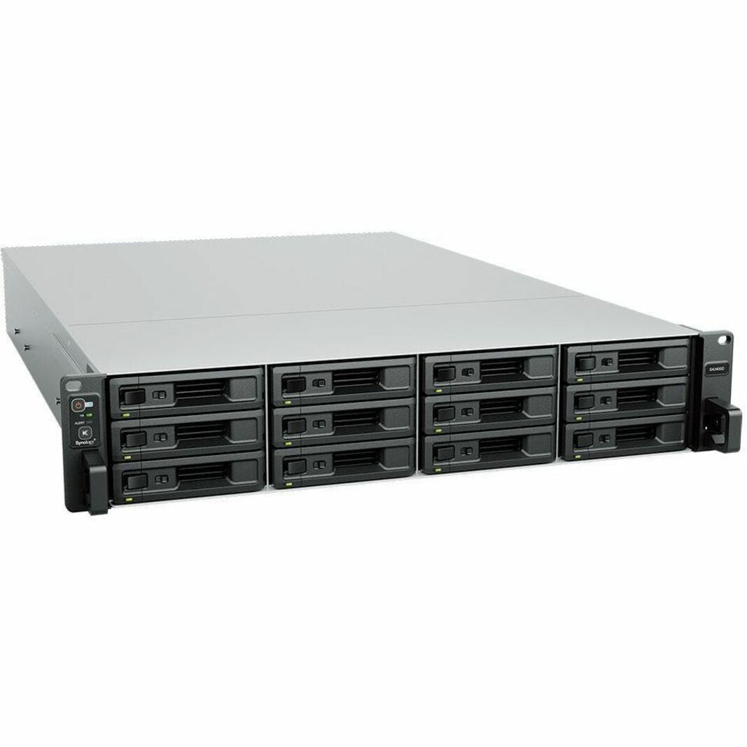 Synology SA3400D SAN/NAS Storage System, Octa-core Xeon D-1541 2.10 GHz, 8GB DDR4 SDRAM