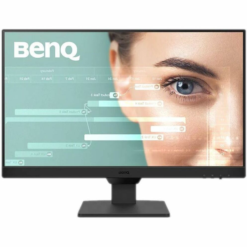 BenQ GW2490 24 Class Full HD LED Monitor - 16:9 - Black
