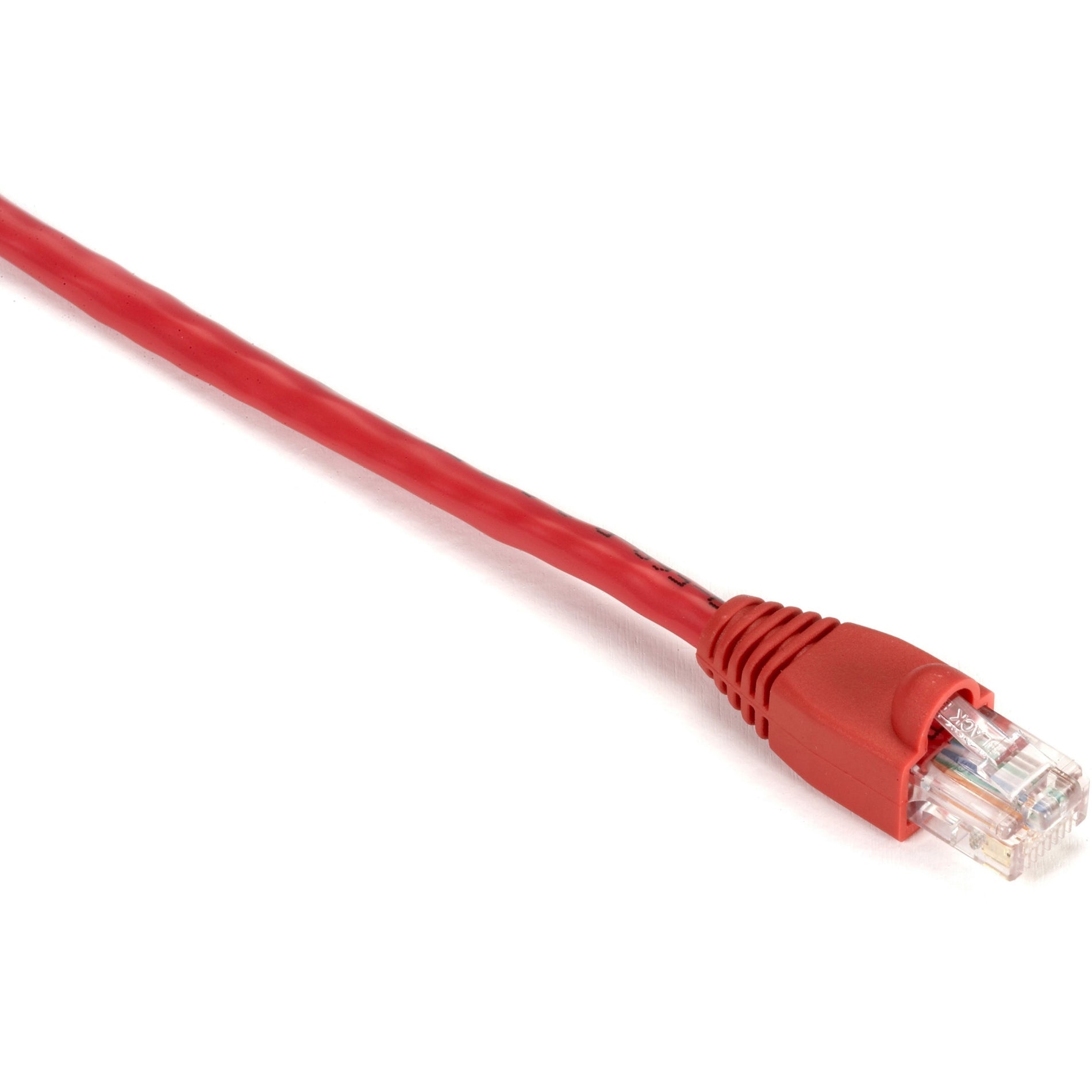 Black Box EVNSL83-0001 GigaBase Cat.5e UTP Patch Network Cable, 1 ft, Red, 1 Gbit/s