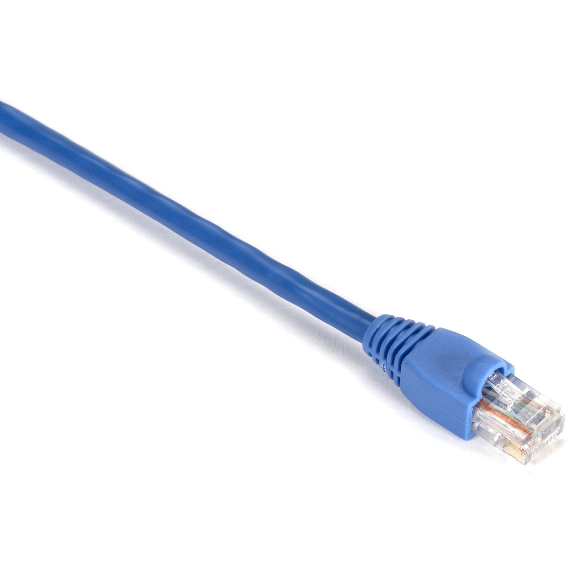 Black Box EVNSL81-0001 GigaBase Cat.5e UTP Patch Network Cable, 1 ft, Snagless Boot, 1 Gbit/s Data Transfer Rate, Blue